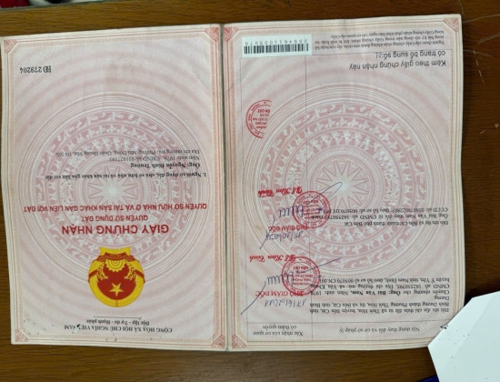 Mỹ Phước 3 , Phường Thới Hòa , TP HCM 